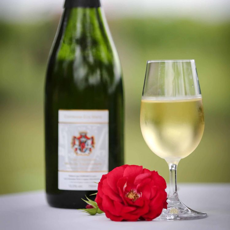 Picture of a wine bottle of the variety Cap Classique